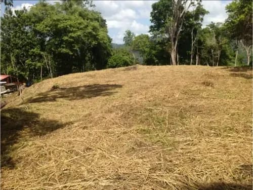 Se Vende Terreno 55343m² Sabaneta