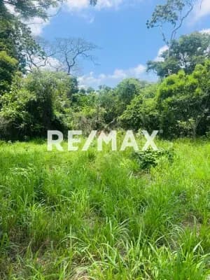 Terreno en Venta asocata.
