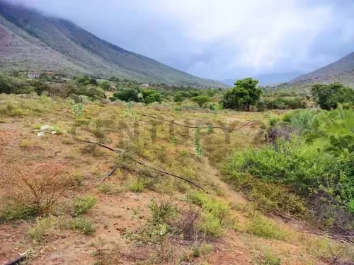 Venta De Finca Con Terreno Fértil Y Potencial Residencial En Guarame
