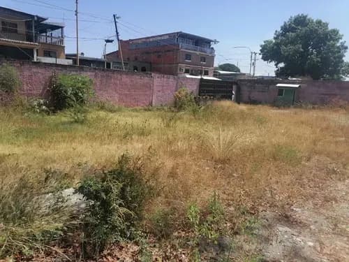 Mariana Vende Terreno En Via Principal A 50 Metros De Los Goajiros Valencia Natacha