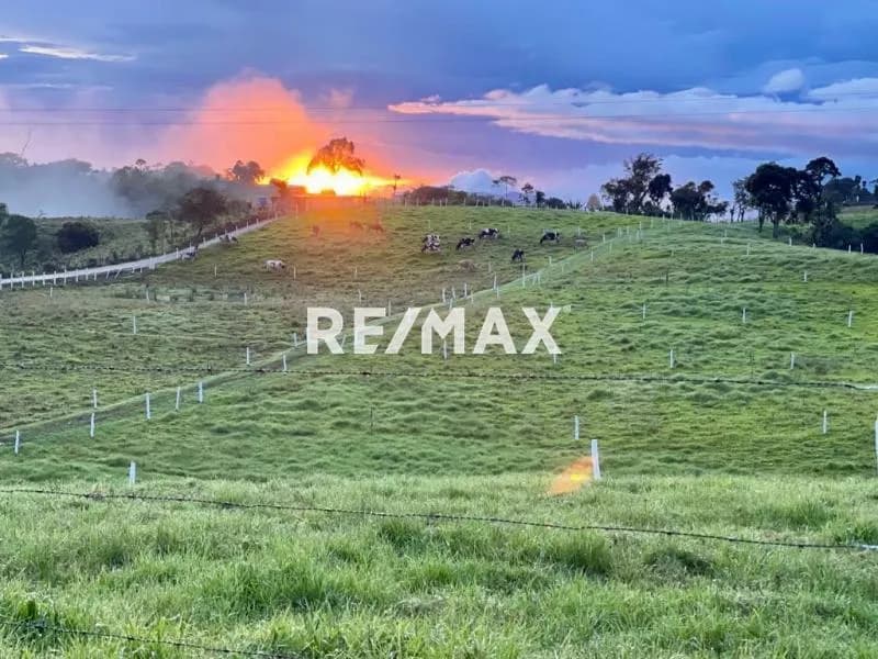 En venta terreno en la curiacha, borota