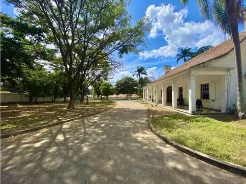 Se Vende Terreno 10.000 M² En Los Chorros