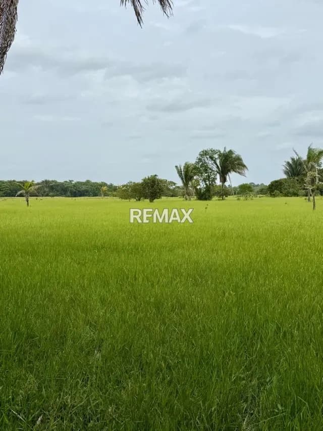 TERRENO EN VENTA