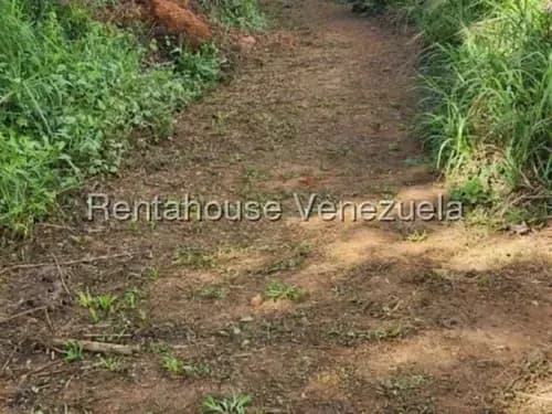 Venta De Terreno \ Gavilán Mg 5-10706