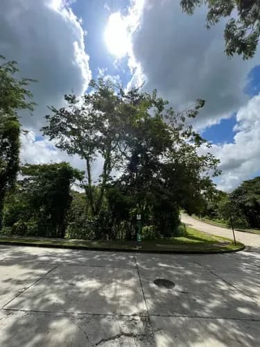Vende Terreno Urb. Terrazas Del Country, Parcela Multifamiliar