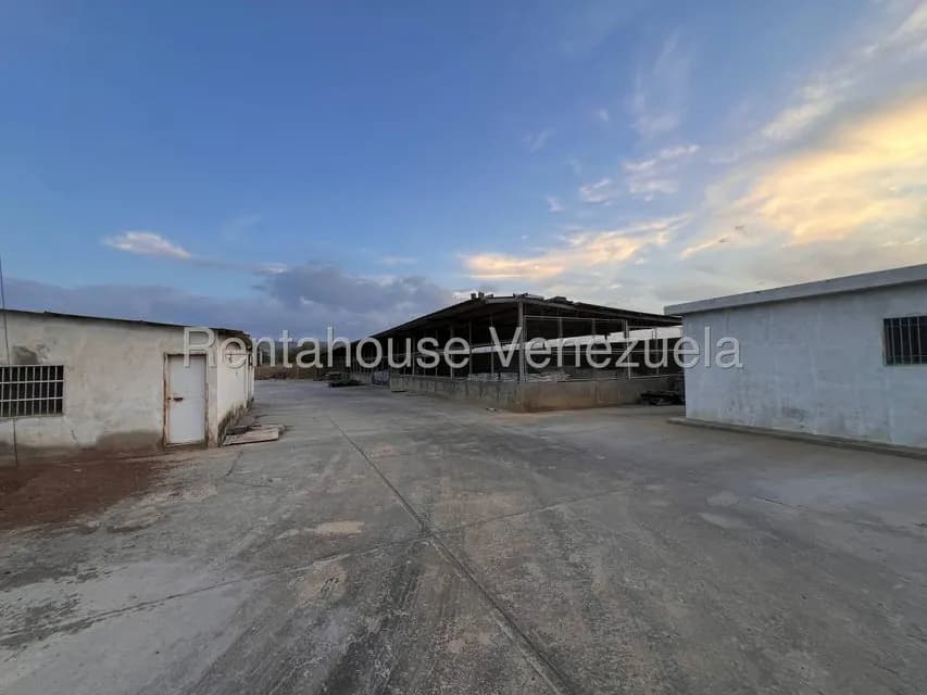 Comercial (Galpon - Deposito) en Alquiler en Monsenor Iturriza, Falcon