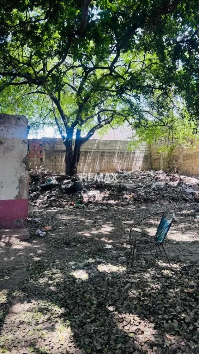 TERRENO EN VENTA TURMERO Calle Bermudez