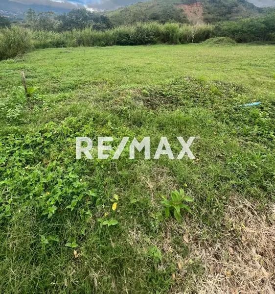 Venta de Parcela en el valle N° 19