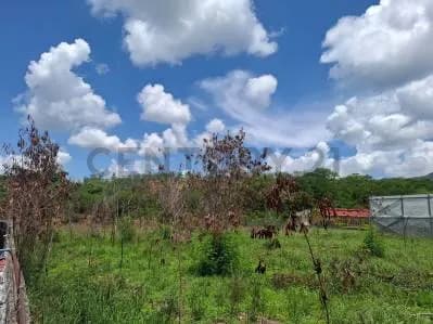 Excelente Parcela Industrial en Venta – Guarenas