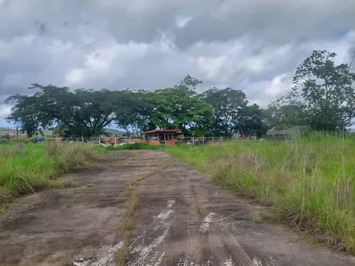 Terreno N Venta En Tinaquillo, Cuenta Con Pozo De Agua (inactivo), Bienechurias A Recuperar, Ideal Para Granjas Avícolas, Galpones, Complejo Deportivo, Alfareria (m.g 20-05-26)