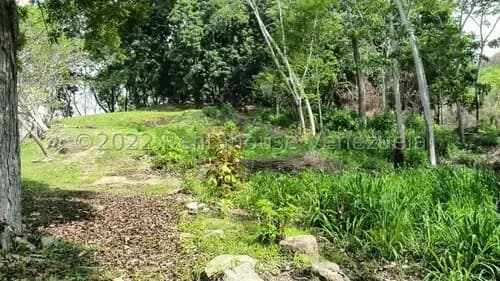 Terreno Residencial En Venta En Carialinda Naguanagua Lr Carabobo Ideal Para Tu Proyecto Residencial