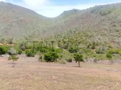 FINCA TERRENO DE USO AGRICOLA Y CON BIENHECHURIA