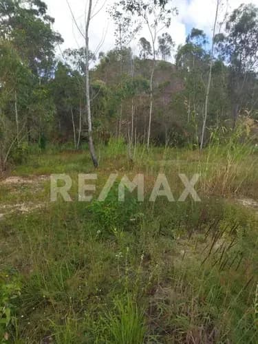 Terreno En Venta, Colinas De Carrizal