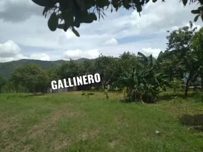 Terreno en alquiler en carabobo - $2k