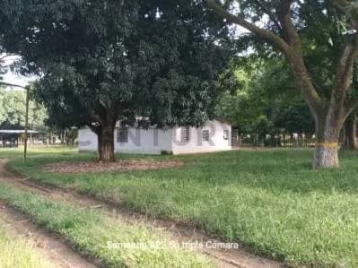 Venta de Finca Porcina