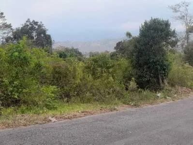 Venta Terreno El Pueblito aldea Piar