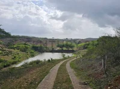 Venta de Finca