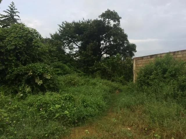 Terreno (Residencial) en Venta en Monteserino, Carabobo