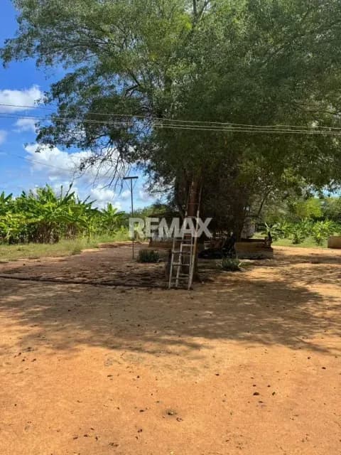 Granja Ubicada En El Km.18 Via Perijá