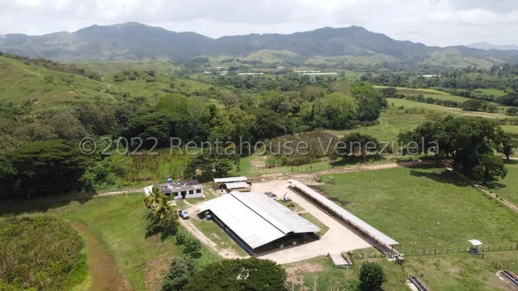 Terreno (Finca) en Venta en Municipio Carlos Arvelo, Carabobo