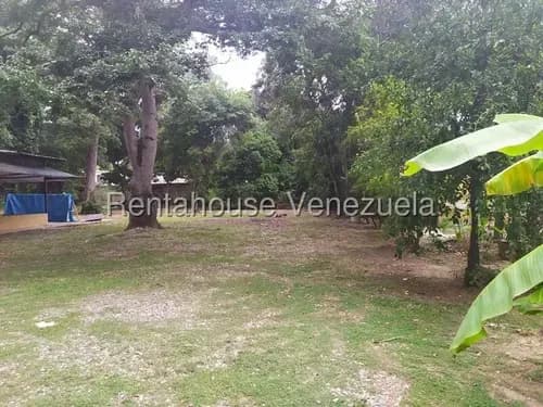 Terrenos Con Zonificación Comercial Y Residencial En La Zona Norte De Valencia, Inm 26-6565, Cerca De La Avenida Andrés Eloy Blanco, Altamente Valorados Por Su Ubicación Estratégica. Agua Blanca