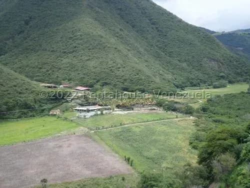 Inmuebles Milagros Nazareth Terreno En Venta En Barquisimeto Lara El Manzano. Codigo Del Inmueble 23-28171 Economica Residencial Economico Comercial