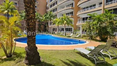 Dm Vende Amplio E Iluminado Apartamento En Ubicacion Privilegiada Playa El Angel Isla De Margarita Venezuela