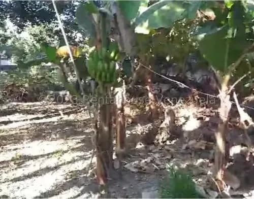 Terreno Ubicado En El Municipio Naguanagua. En Excelente Zona Muy Cerca A La Autopista Regional Del Centro. Cerca De Hoteles, Restaurantes, Clinicas . Ideal Para Desarrollo Residencial.