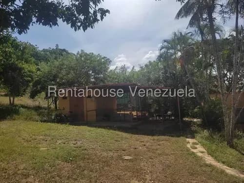 En Venta, Finca De 2 Hectáreas En La Mata, Cabudare | Casa Colonial . Monica Carrasquel Asesor Inmobiliario