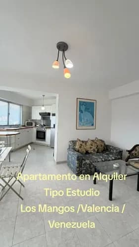 Apartamento En Los Mangos En Alquiler Tipo Estudio Amoblado (ch)
