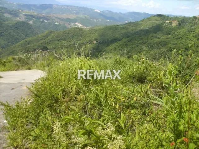 Sabaneta vendo Terreno de 4666m2