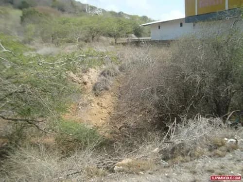 Terrenos En Venta En La Circunvalación Ic-00208