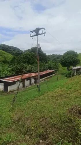 Casa Centro Operaciones 5 Cuartos, Sala Y Pasillo Amplio, Cocina Y 2 Baños Casa Obreros 2 Cuartos, Cocina Más Baño Corral Con Puesto Para Ordeño Y Muelle Vaquera Con Capacidad Para 100 Animales