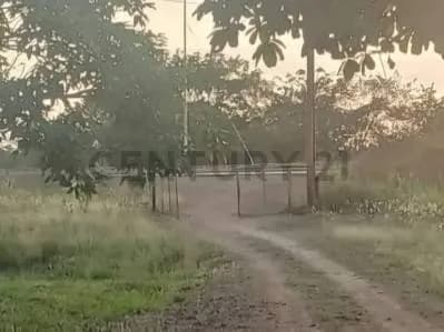 Venta de Finca