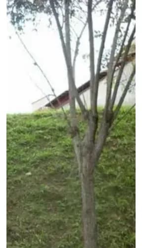 Venta Terreno 600m2 La Boyera 3052