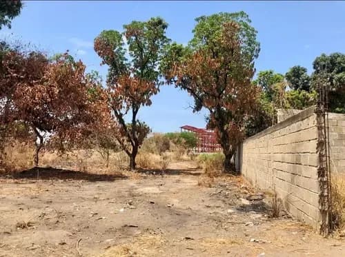 Venta De Terreno Palo Negro Carretera Magdaleno Edo Aragua.