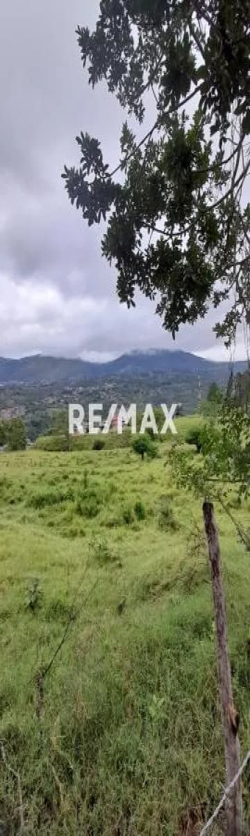 Terreno en Arjona