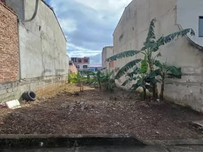 Terreno en venta palo gordo