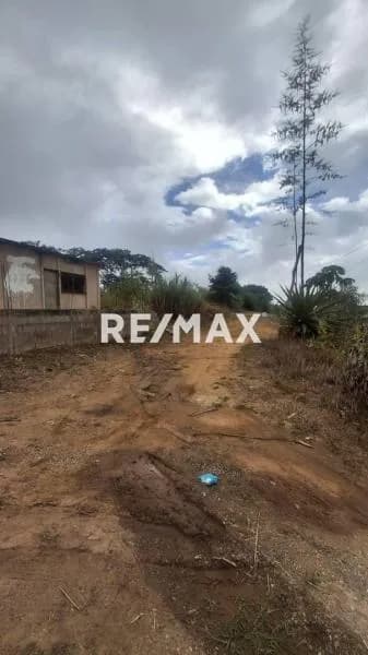 Amplio Terreno en Venta ,Urbanización Santa Rita 4ta calle en la Avenida La Mata Municipio Escuque Estado Trujillo