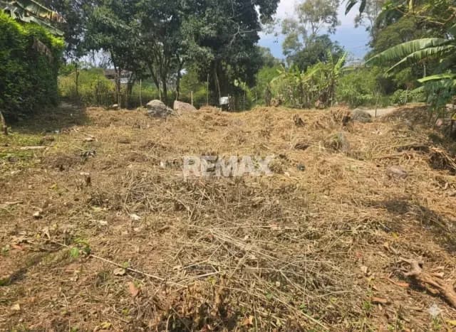 TERRENO CON POTENCIAL . Páramo del junco