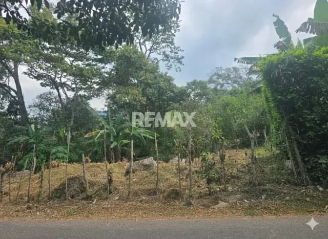 TERRENO CON POTENCIAL . Páramo del junco