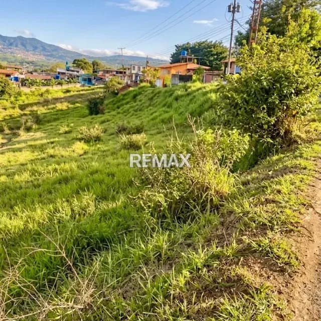 Terreno. Venta. Palo Gordo
