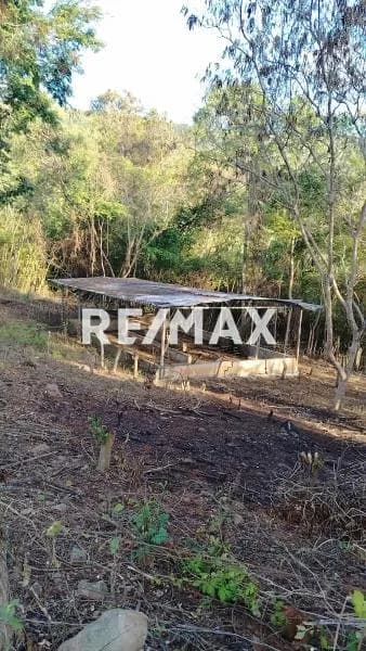 En venta Lote de 3,63 hectáreas de tierras descansadas en Asentamiento Campesino El Cacao