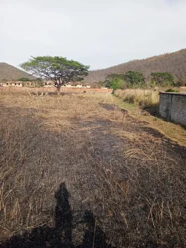 Dh Ofrece Terreno Plano Las Josefinas San Diego Carabobo Uso Residencial Y Comercial