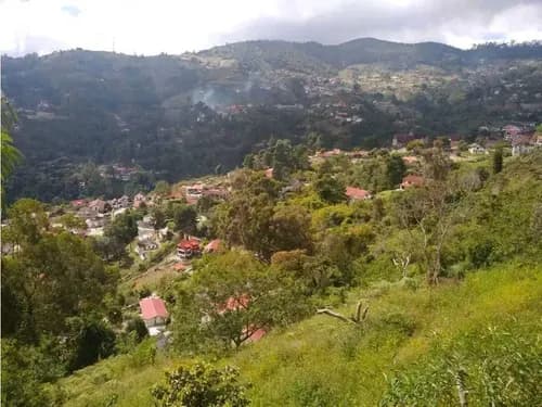 Vendo Terreno 12.630m2 La Colonia Tovar 6034