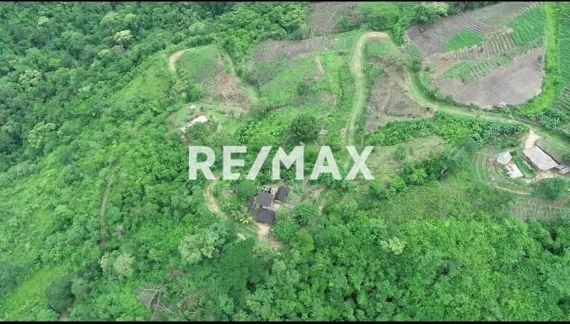 Terreno en venta Canoabo Bejuma en bosque virgen