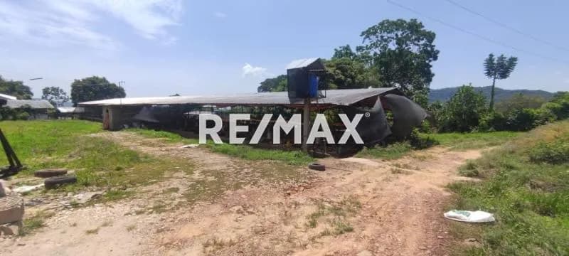 Se Vende Granja Avícola completamente operativa y lista para generar ingresos Aldea Las Flores- Las Mesas Mcpio. Antonio Rómulo Costa Edo. Táchira