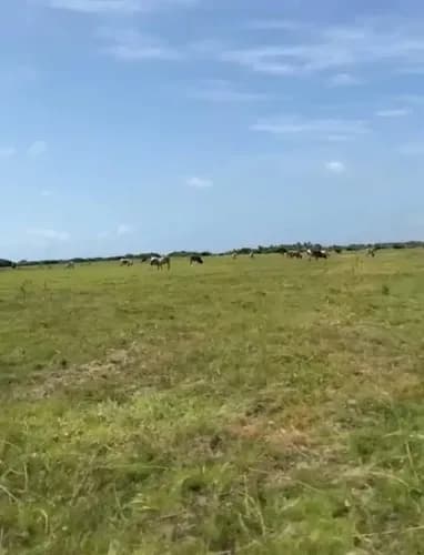 Terreno En San Juan De Los Cayos En Chichiriviche Estado Falcón 10 Hectáreas Planas De Terreno. Posee Un Pequeño Riachuelo Que Le Da Mucho Valor Turístico, Comercial...