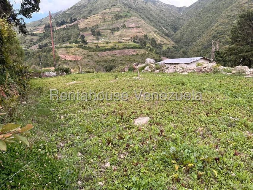 Terreno (Finca) en Venta en Cacute, Merida