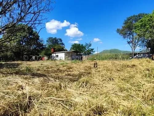 En Villa De Cura Gran Terreno Con Galpón En Venta En Villa Virginia Db 25-6962